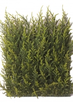 Cypress haagelement UVsafe, 25x25cm